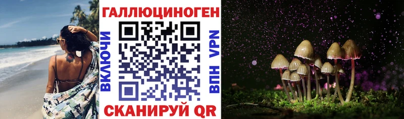 Псилоцибиновые грибы Cubensis  Ленск 